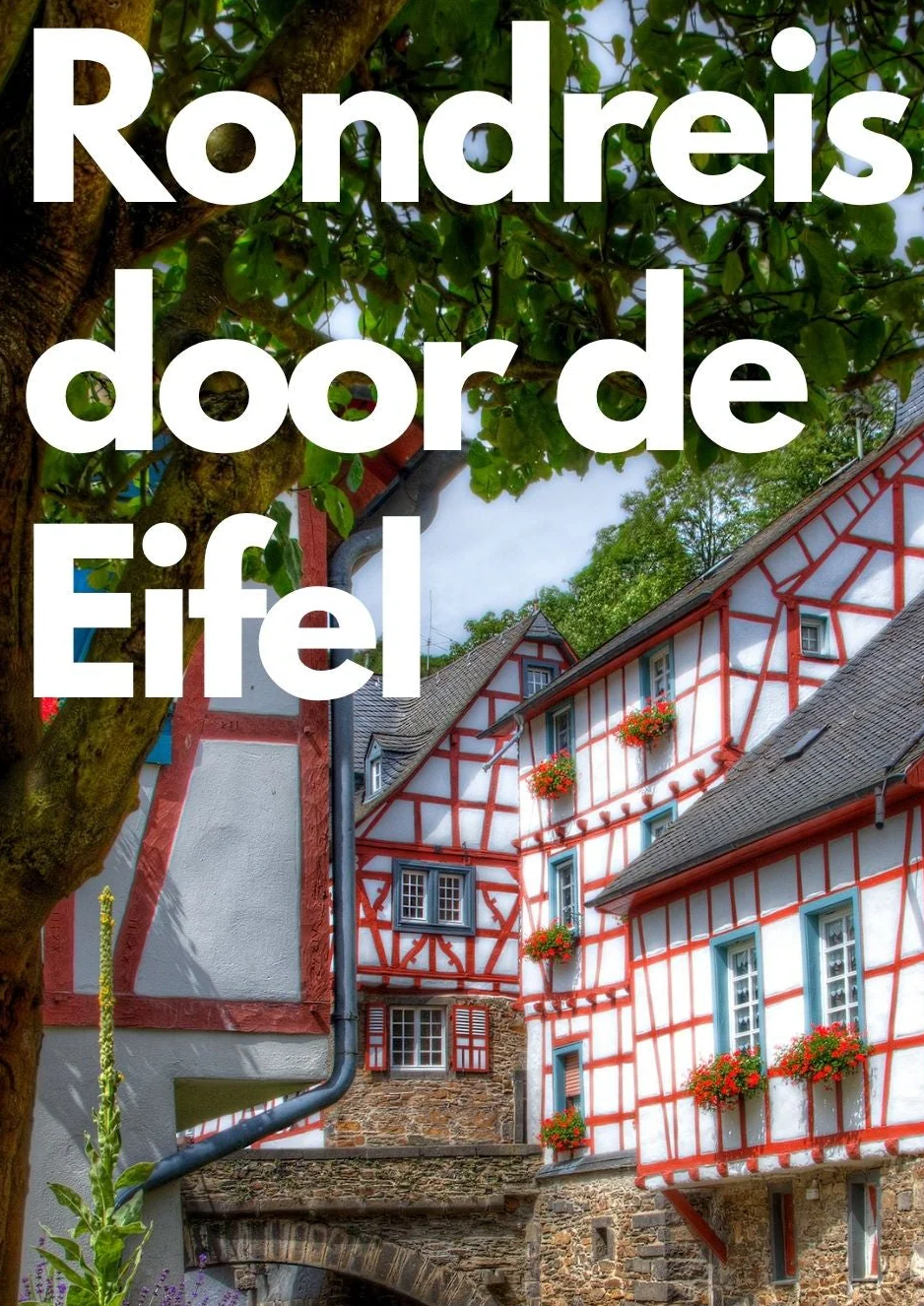 Combinatiebundel Moezel en Eifel - Image 3